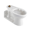 Priolo® 1.1 – 1.6 gpf (4.2 – 6.0 Lpf) Top Spud Back Outlet Elongated EverClean® Bowl With Bedpan Lugs // WHITE // 116856_P_3691001020_CDNwebp.webp