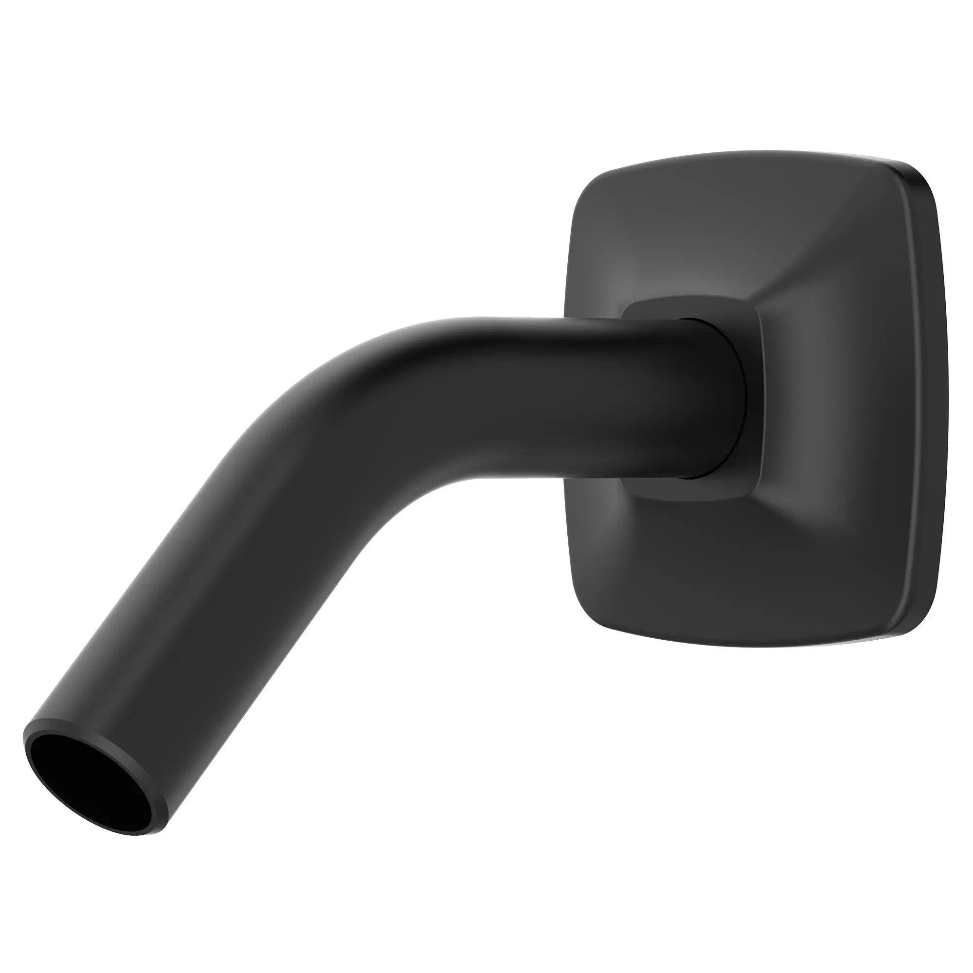 Bras et bride pour pomme de douche Townsend® // NOIR MAT // 152271_1660245.243_2_0_CDNwebp.webp