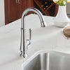 [4279410.002] Delancey® Single-Handle Pull-Down Bar Faucet 1.5 gpm/5.7 L/min - Polished Chrome