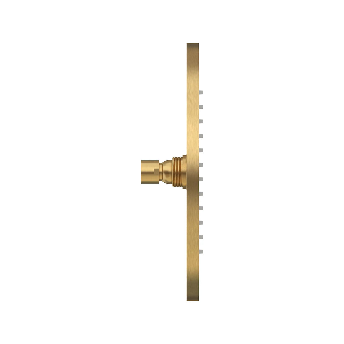 Pomme de douche à effet pluie moderne de 10 po 2,5 gpm/9,5 L/min // AUBE FRAÎCHE BROSSÉ // 168853_Modern_SiloSide_1660683.GN0_0001_Apr2023_0_CDNwebp_1d53d351-f224-4671-9004-c8d2313901ba.webp