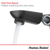 [7061121.002] Aspirations Single-Handle Pull-Out Bathroom Faucet 1.2 gpm/4.5 L/min With Lever Handle - Polished Chrome