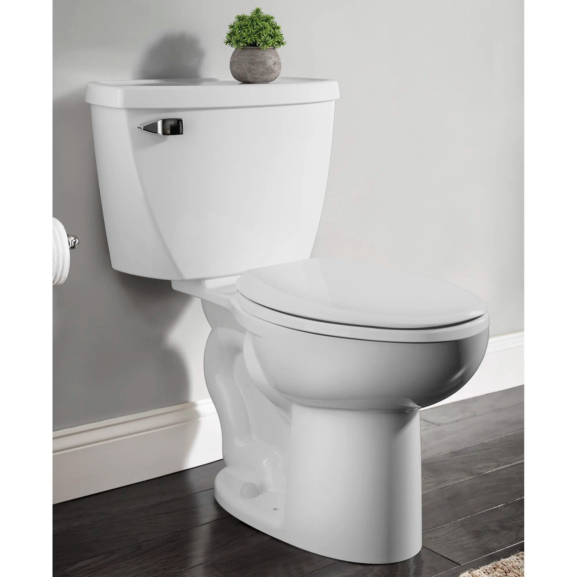 Cadet® - Toilette allongée deux pièces avec EverClean® et pression assistée, 1,6 gpc/6,0 lpc // BLANC // 225394_B-2462016020_CDNwebp.webp