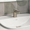Aspirations Single-Handle Petite Bathroom Faucet 1.2 gpm/4.5 L/min With Lever Handle //   BRUSHED NICKEL // 231973_Aspirations_EnvironmentCloseUp_7061131.295_0001_Nov2023_CDNwebp.webp