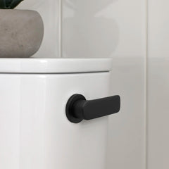 Right-Hand Trip Lever // MATTE BLACK // 233822_Aspirations_EnvironmentCloseUp_7381987-101.2430A_0001_Nov2023_CDNwebp.webp