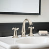 Delancey® 8-Inch Widespread 2-Handle Bathroom Faucet 1.2 gpm/4.5 L/min With Cross Handles // POLISHED  NICKEL // 238726_Delancey_EnvironmentCloseUp_7052827.013_0001_Jan2024_CDNwebp.webp