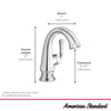 Delancey® Single Hole Single-Handle Bathroom Faucet 1.2 gpm/4.5 L/min With Lever Handle // CHROME // 239558_Delancey_Infographic_7052121_0004_MAR2024_CDNwebp.webp