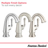 Delancey® Single Hole Single-Handle Bathroom Faucet 1.2 gpm/4.5 L/min With Lever Handle // CHROME // 239560_Delancey_Infographic_7052121_0001_MAR2024_CDNwebp.webp