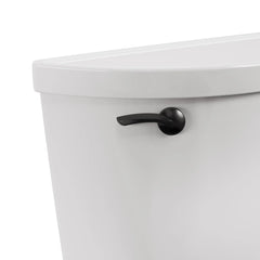 Champion® PRO 1.28 gpf/4.8 Lpf 12-Inch Rough Tank // WHITE // 244909_Champion_SiloCloseup_4225A104.020_0001_MAY2024_CDNwebp.webp