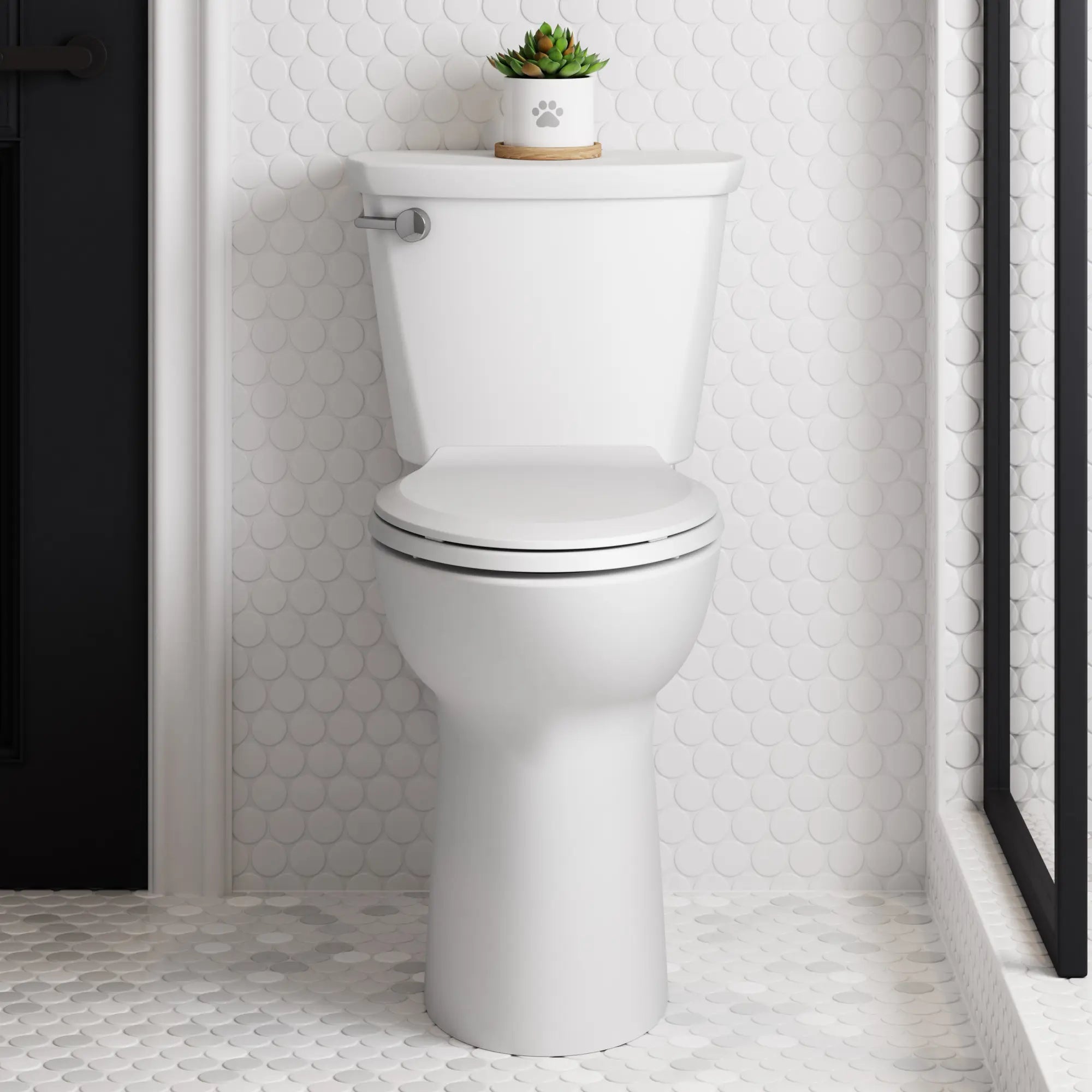 Toilette Cadet® PRO deux pièces, devant allongé, extra-haute, 4,8 l/chasse (1,28 gal/chasse), sans siège // BLANC // 246550_CadetPro_EnvironmentCloseup_215TA104.020_3517T101.020_4188A104.020_0001_MAY2024_CDNwebp.webp
