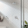 STUDIO S PB SHOWER TRIM // CHROME // 258902_T105501002_1_CDNwebp.webp