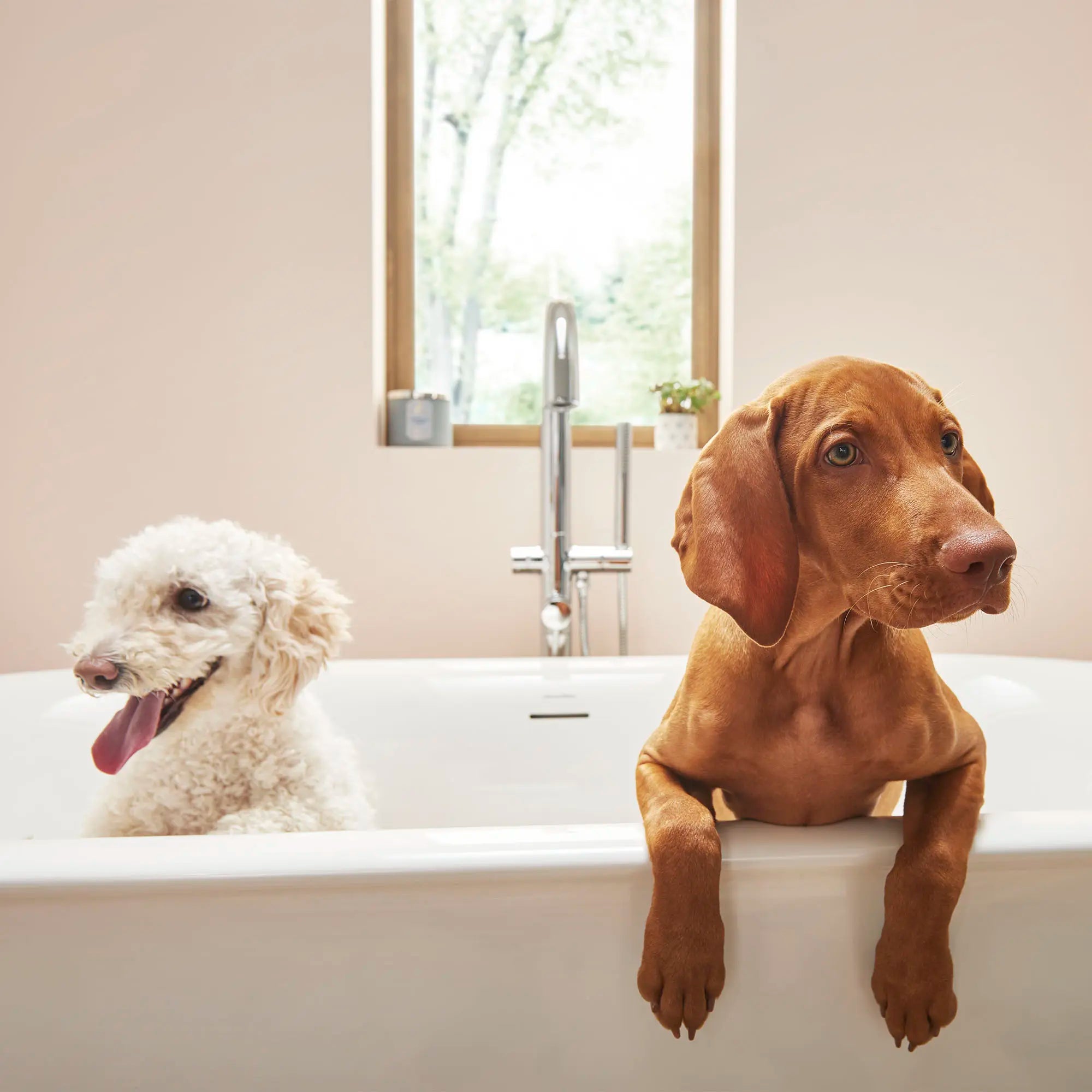 Robinet de baignoire autoportant rond contemporain pour robinetterie brute Flash® avec poignée à levier // CHROME POLI // 259763_L-2549004020_T064951002_CDNwebp.webp