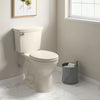 [5320B65CT.021] Champion® Slow-Close & Easy Lift-Off Round Front Toilet Seat - White