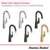 [1048270000] Aspirations Pull-Down Bar Faucet  - Polished Chrome