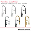 [1048820000] Aspirations Semi-Pro Kitchen Faucet  - Polished Chrome