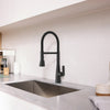 [1048822430] Aspirations Semi-Pro Kitchen Faucet  - Matte Black