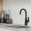 [1048272430] Aspirations Pull-Down Bar Faucet  - Matte Black