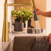 [104882GN00] Aspirations Semi-Pro Kitchen Faucet  - Brushed Cool Sunrise