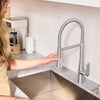 [104882DC00] Aspirations Semi-Pro Kitchen Faucet  - Stainless Steel