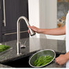 [4332300.075] Pekoe® Single-Handle Pull-Down Dual-Spray Kitchen Faucet 2.2 gpm/8.3 L/min - Polished Chrome