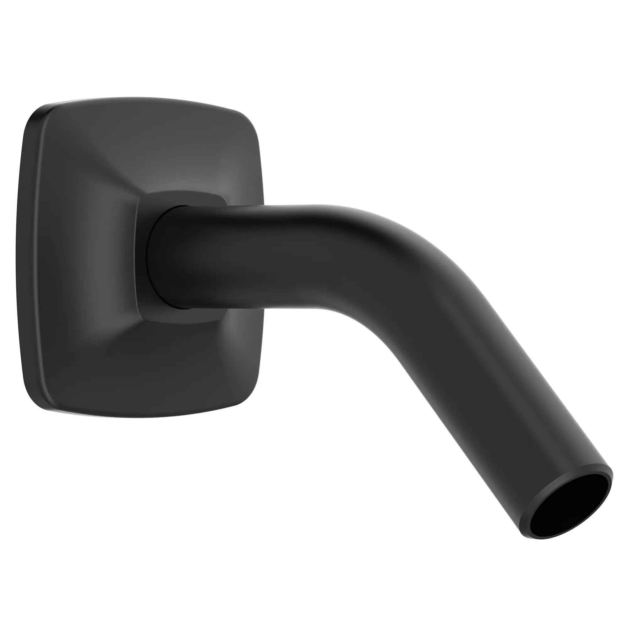 Bras et bride pour pomme de douche Townsend® // NOIR MAT // 47164_1660245.243_0_CDNwebp.webp