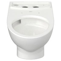 Glenwall® VorMax® Back Outlet Elongated Wall-Hung EverClean® Bowl // WHITE // 54175_3447101020_CDNwebp.webp