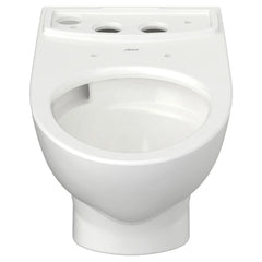 Glenwall® VorMax® Back Outlet Elongated Wall-Hung EverClean® Bowl // WHITE // 54175_3447101020_CDNwebp.webp