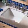 Boulevard® Under Counter Sink // WHITE // 67605_B-0610000020_CDNwebp.webp
