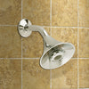 FloWise Transitional 1.5 gpm/5.7 L/min Water-Saving Fixed Showerhead // CHROME // 68270_B-1660715002_CDNwebp.webp