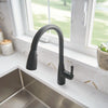 Fairbury® Single-Handle Pull-Down Dual Spray Kitchen Faucet 1.8 gpm/6.8 L/min With Lever Handle // MATTE BLACK // 78944_B-7418300243_4_CDNwebp.webp