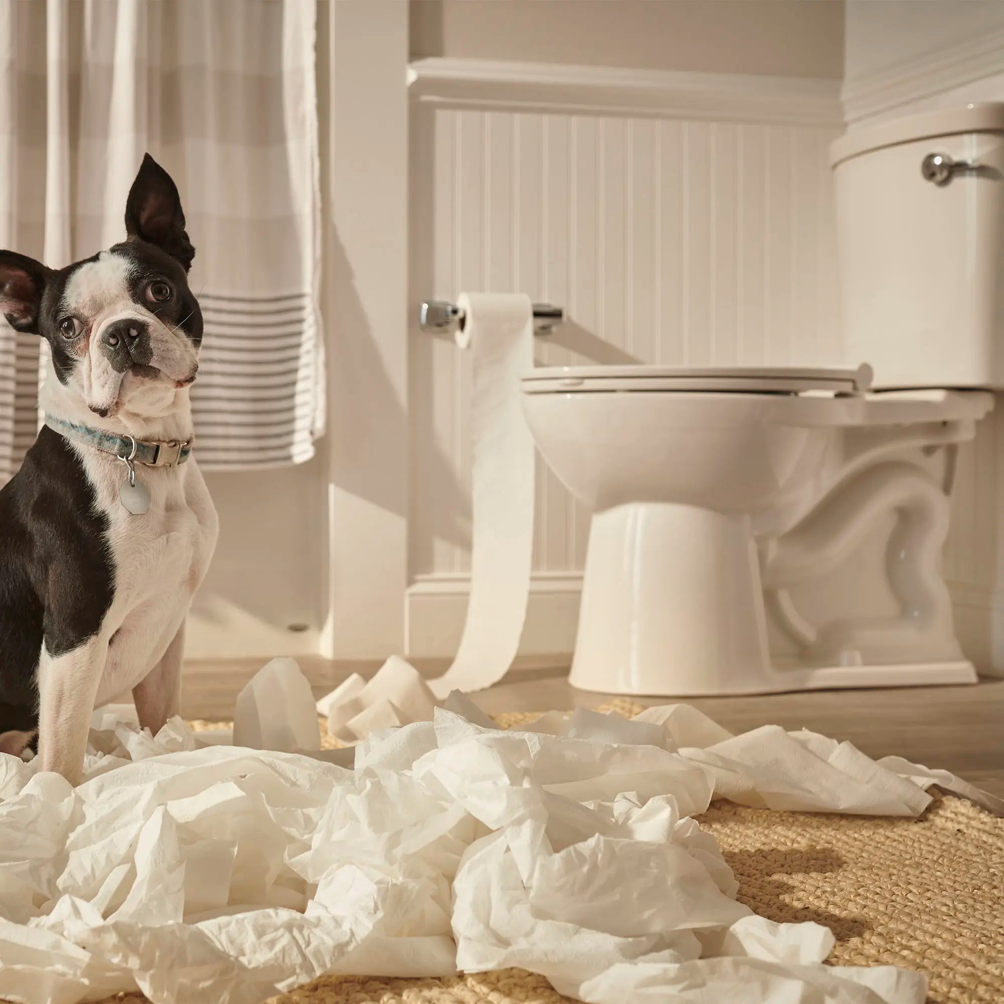 Toilette VorMax®, 2 pièces, 1,28 gpc/4,8 Lpc, à cuvette allongée à hauteur de chaise, avec levier de déclenchement à droite, sans siège // BLANC // 99007_L-238AA105020_CDNwebp.webp