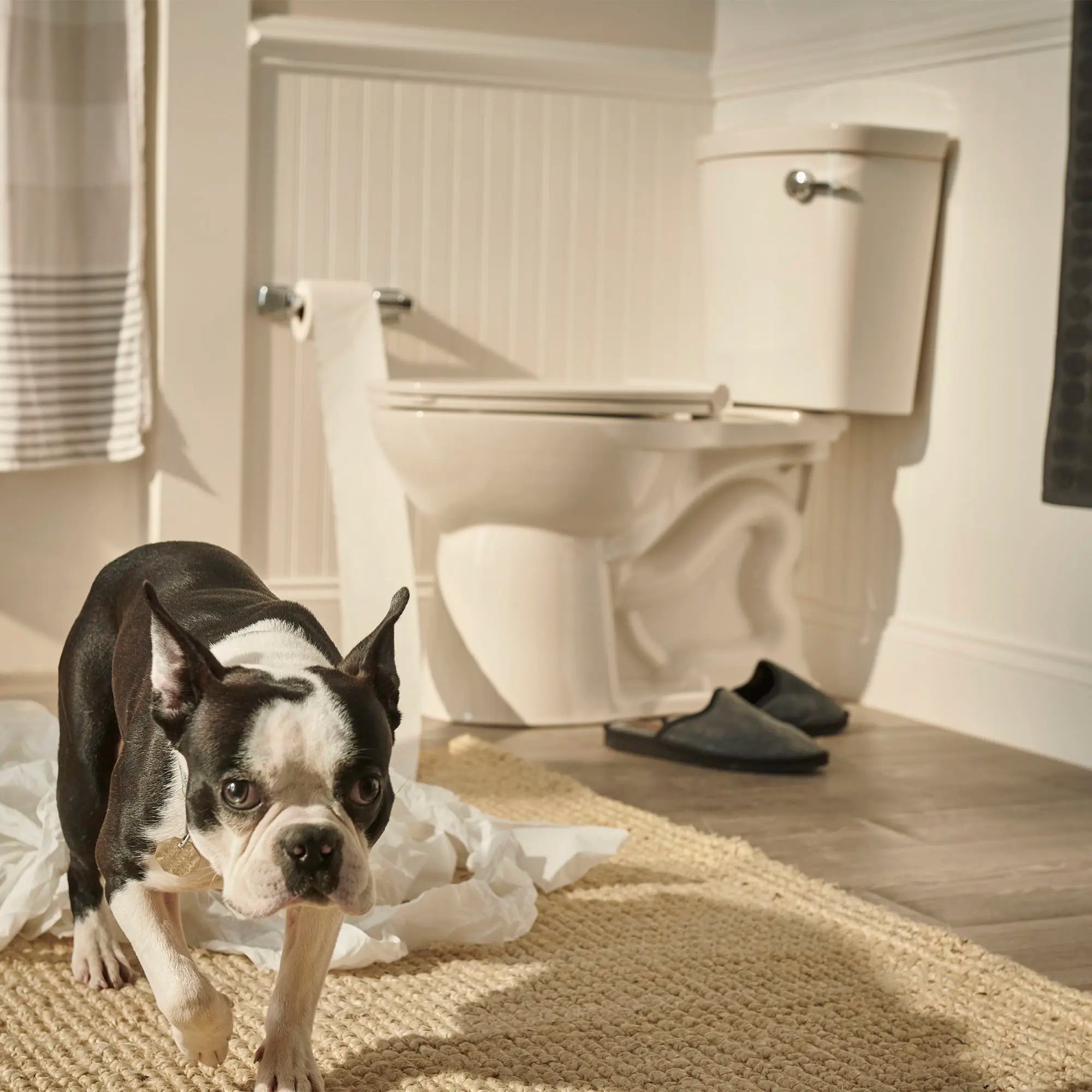 Toilette VorMax®, 2 pièces, 1.0 gpc/3.8 lpc, à cuvette allongée à hauteur de chaise, levier de déclenchement à droite, sans siège // BLANC // 99106_L-238AA115020_1_CDNwebp.webp